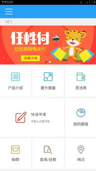 任性，是生活中的一種錯位的善意